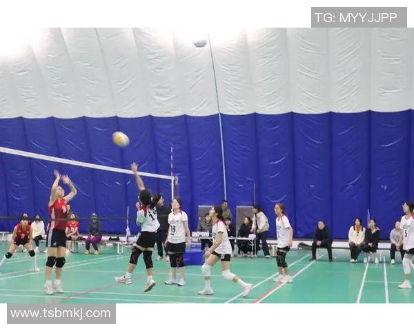 北京排球队在挑战赛中的灵活性表现分析与点评