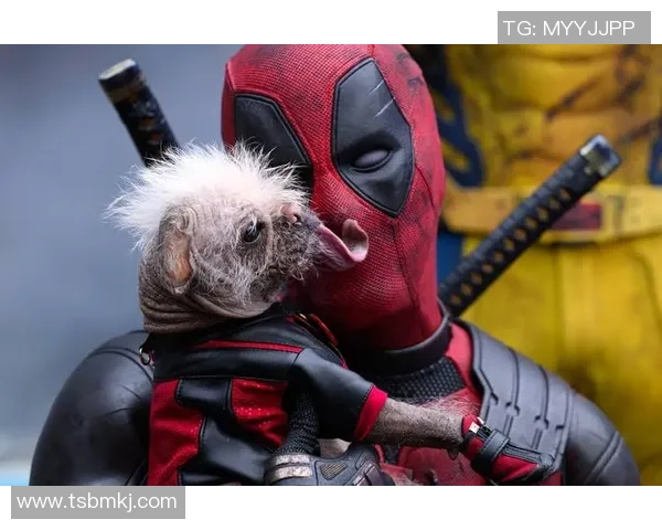 死侍与足球明星的奇妙邂逅揭开超级英雄与运动巨星的幽默冒险之旅 死侍与足球明星的奇妙邂逅揭开超级英雄与运动巨星的幽默冒险之旅