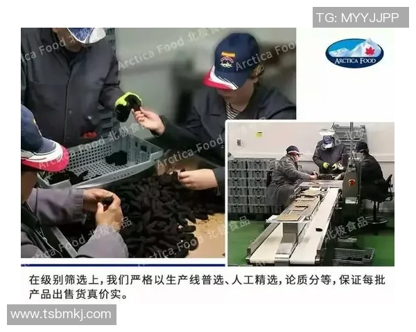 足球明星代言海参背后的故事与健康之道揭秘 足球明星代言海参背后的故事与健康之道揭秘