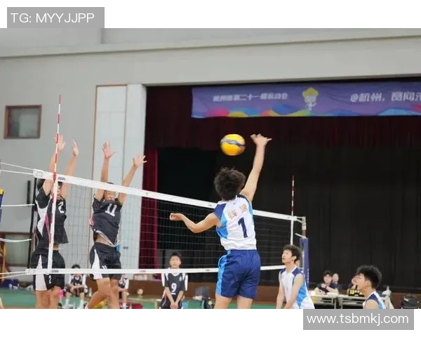 杭州排球队在排球比赛经验排行榜中荣获第二名引发广泛关注与讨论