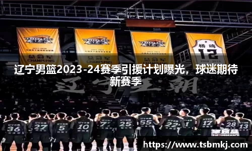 辽宁男篮2023-24赛季引援计划曝光，球迷期待新赛季
