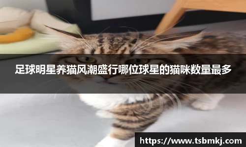 bwin必赢唯一官方网站